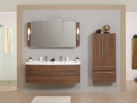 Mirrored Cabinet 11
