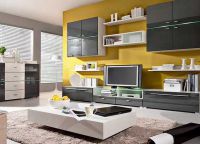 Modulární systémy pro obývací pokoj5