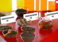 монашки чај за рецепт за дијабетес