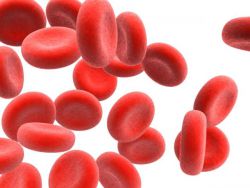 повишени нивои моноцита у крви