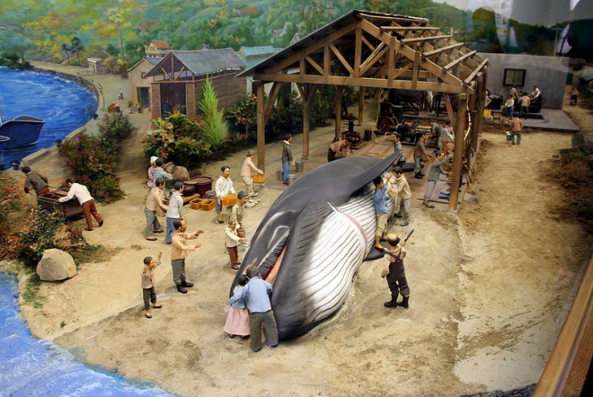 Миниатюры в музее китов