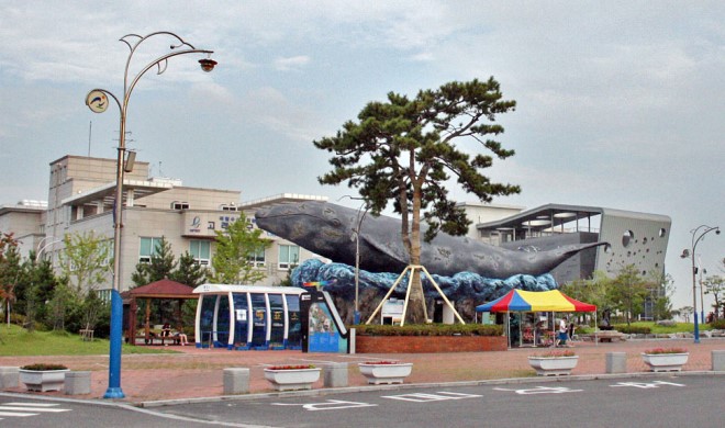 Улица китов