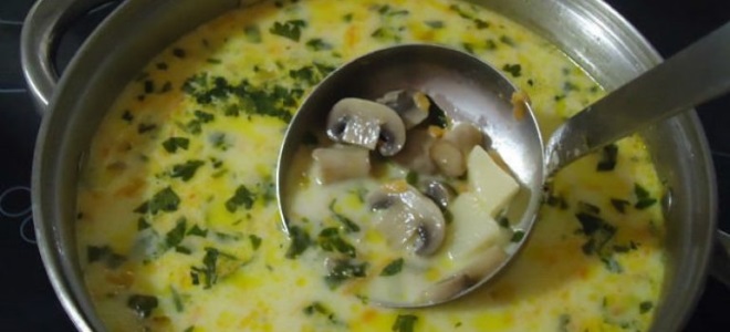 Houbová polévka se sýrem