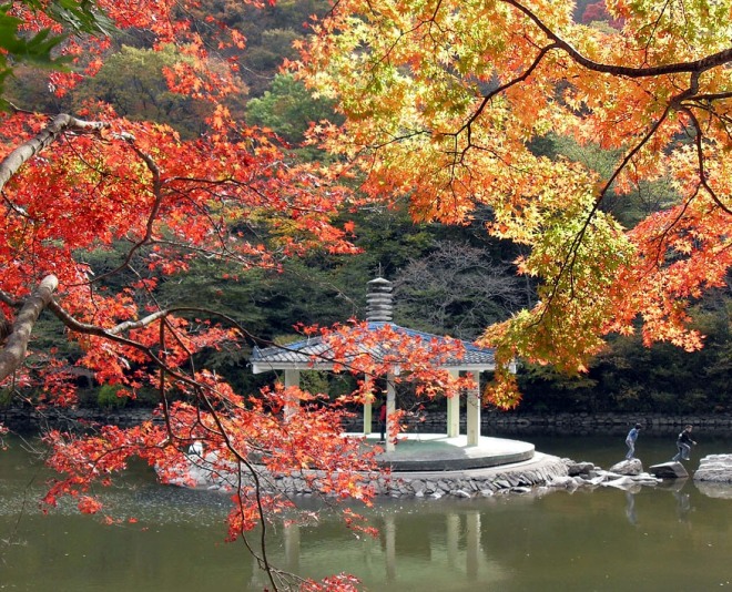 Красивейший парк Кореи