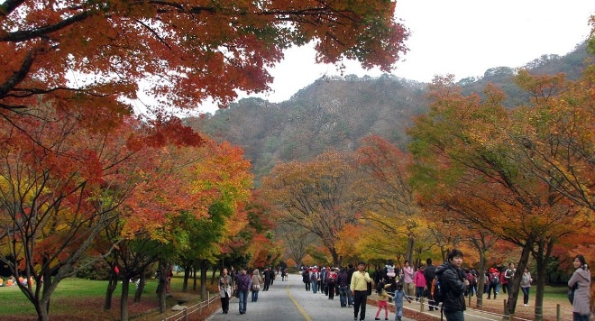 Любимый парк корейцев