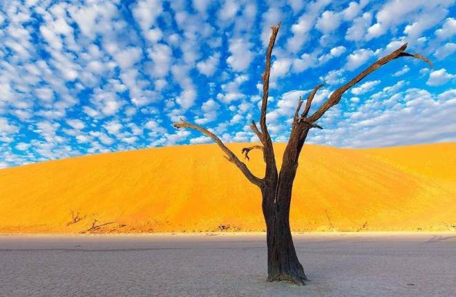 Пейзажи Намибии - мечта любого фотографа
