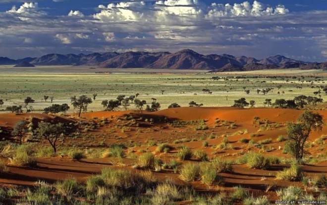 Бескрайние просторы Намибии