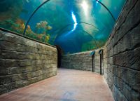 Тоннель в аквариуме