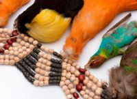 Ожерелье из птиц
