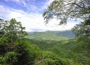 Национальный парк Гуанакасте