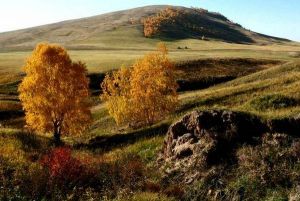 природата на Altai5