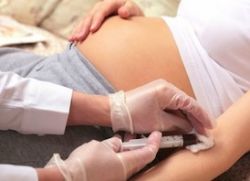 problémy s ledvinami během těhotenství