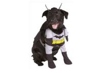 Kostium Batman dla psa -1