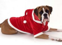 Święty Mikołaj kostium dla psa -2