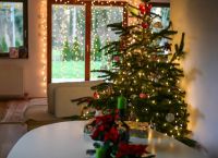 Božična dekoracija doma9