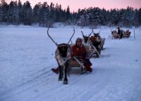 Nova godina u Laplandu10