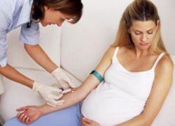 Analýza TTH během těhotenství