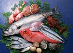 prehrambene vrijednosti crvene ribe