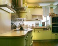 kolor oliwkowy w kuchni interior1