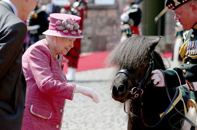 Королева помиловала пони