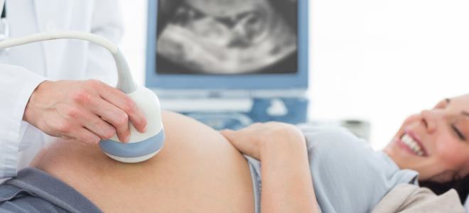 co týden dělají ultrazvuk během těhotenství