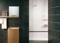Възможности за поставяне на плочки в банята - дизайн1