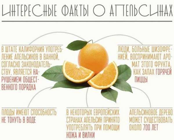 pomarańczowa dieta do odchudzania