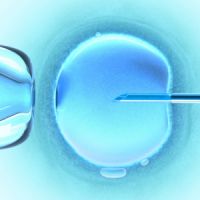 vyčerpání vaječníků a těhotenství