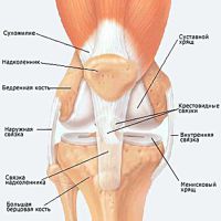 Bolečina pod kolenom izza vzroka