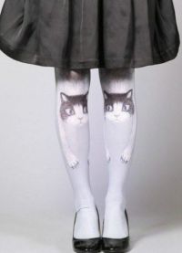 hlačne nogavice z mačkami 3