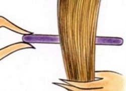 Kako vaditi dlake na papilotki 1