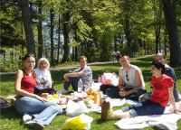 В парке можно организовать пикник