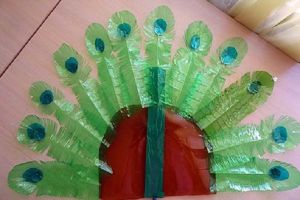 plastična boca peacock3