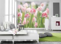 Foto tapety tulipány6