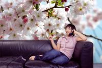Sakura kwitną zdjęcie wallpaper2