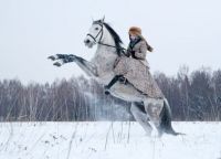 фотосесия с коне през зимата 12