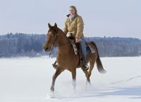 фотосесия с коне през зимата 7