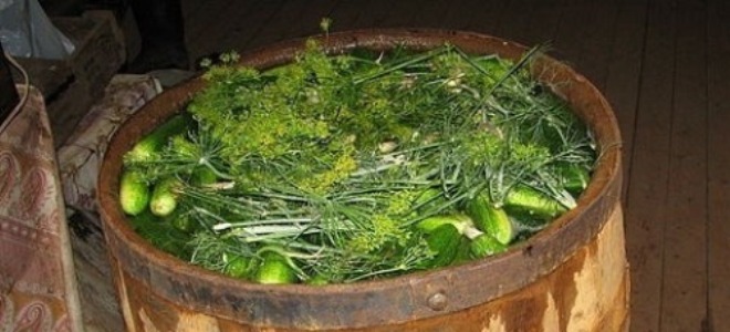Рецепта за осоляване на краставици в студена цевна