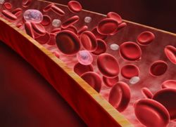badanie krwi w komórkach plazmatycznych
