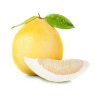 citrus pomelo koristi in škode