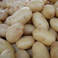 odrůda brambor "Zhuravinka"