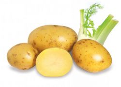 увреждане на сока от картофи