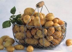 bramborové opatření na kontrolu molu
