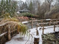 Зоопарк в Прага през зимата 1