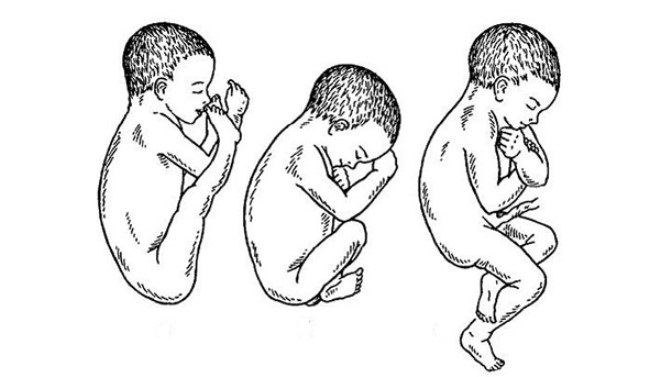 płód w okresie ciąży 2