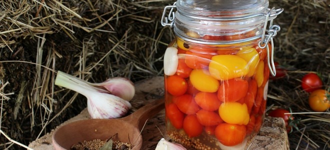 консервиране на домати за зимните рецепти
