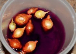 onion sevok tretman prije sadnje kalijevog permanganata