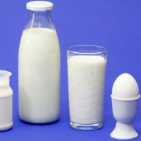 vsebnost laktoze v izdelkih