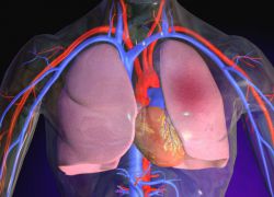 příčiny plicního edému