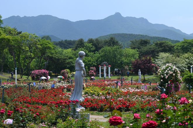 Парк Seoul Grand Park в Квачхоне